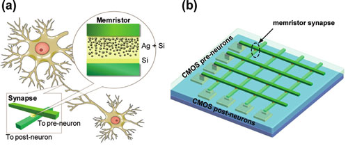 Caratteristiche del memristor in nanoscala e sua applicazione come sinapsi. (a) Illustrazione schematica del concetto di utilizzo dei memristori come sinapsi tra i neuroni. I riquadri mostrano gli schemi della geometria del dispositivo a due terminali e la struttura a strati del memristor. (b) Schema di un neuromorfico con neuroni CMOS e sinapsi di memristor in una configurazione a croce. Credit: nanowerk.com