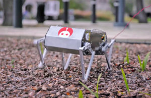 Doggo, il cane robot della Stanford University. Credits: endadget.com