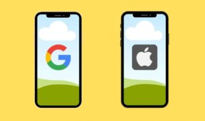 API di Apple e Google