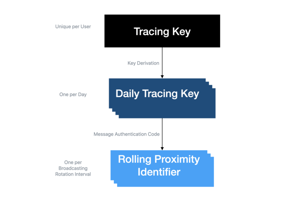 Il rolling proximity identifier viene calcolato a partire dal Daily Tracing Key o Temporary Exposure Key. Credits: medium.com