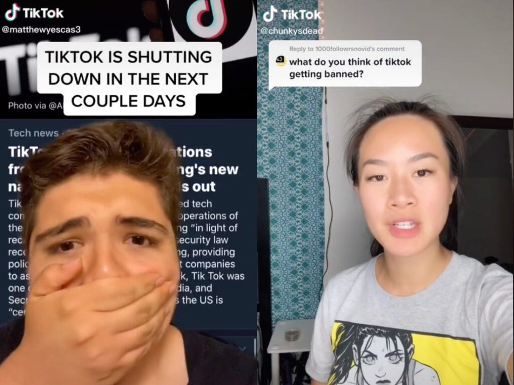 Trump bane o TikTok e o WeChat: as reações dos "tiktokers" são rápidas. Créditos: Insider