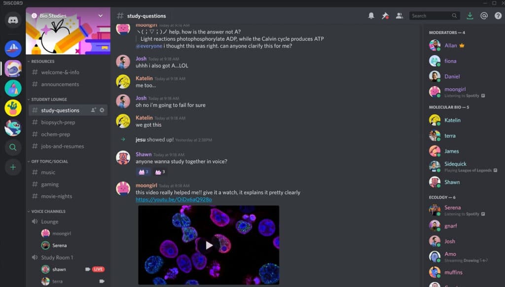 Discord permette di creare canali e chat tematiche per gestire al meglio la comunicazione. Fonte: VentureBeat