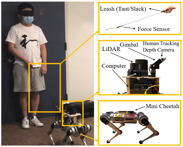 Nell’immagine è possibile vedere tutti i dettagli del sistema di guida composto dall’umano, il robot (Mini Cheetah) e il guinzaglio. Inoltre, in figura sono rappresentati anche il sensore di forza, utilizzato dal guinzaglio per monitorare la tensione esercitata su di esso dal cane, e tutti gli altri sensori impiegati dal robot per orientarsi nello spazio. Fonte: Hybrid Robotics Group, UC Berkeley University.