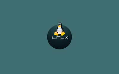 Linux, molto più di un sistema operativo: una filosofia
