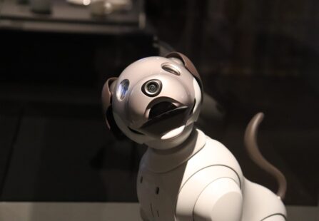 Cane robot armato, il video preoccupa: di cosa si tratta?