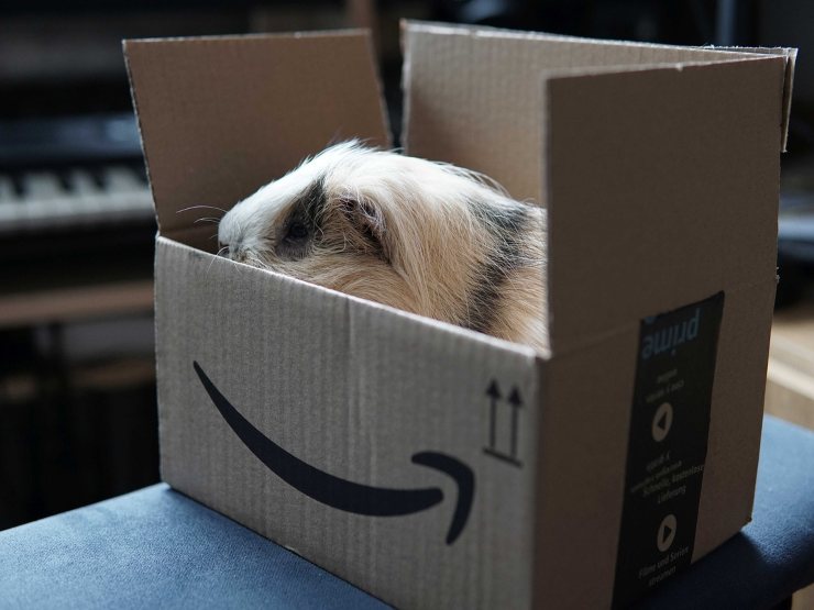 Pacco Amazon con sorpresa