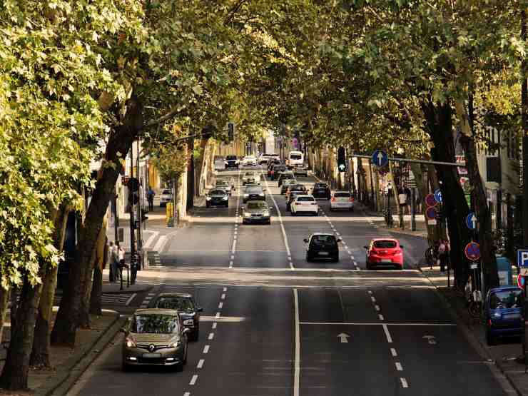 Viale alberato nell'ora di punta