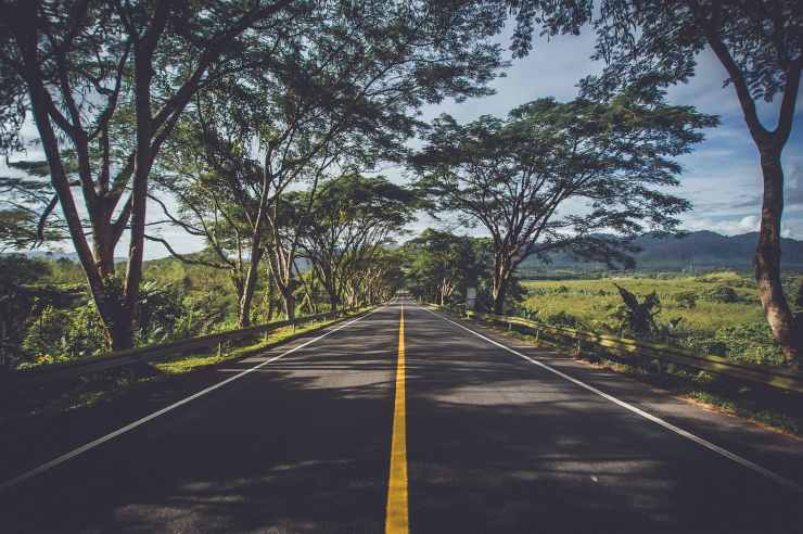 Strada asfaltata con alberi