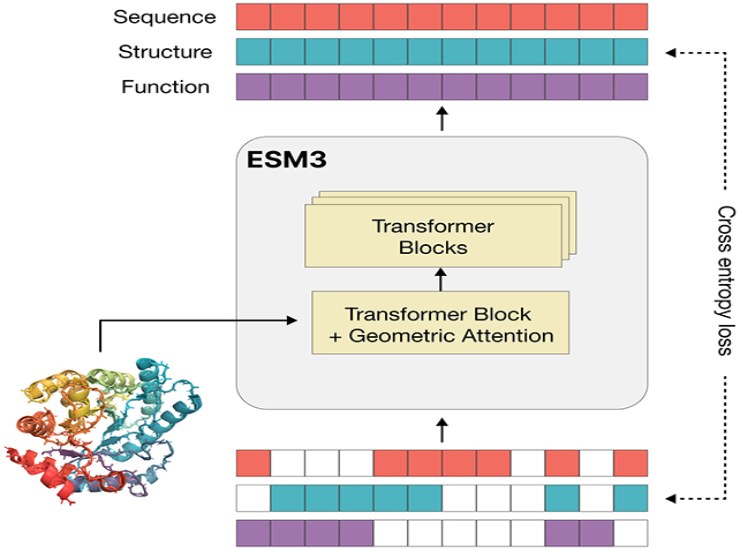 Schema proteina scoperta con ESM