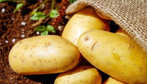 Le patate e il bucato