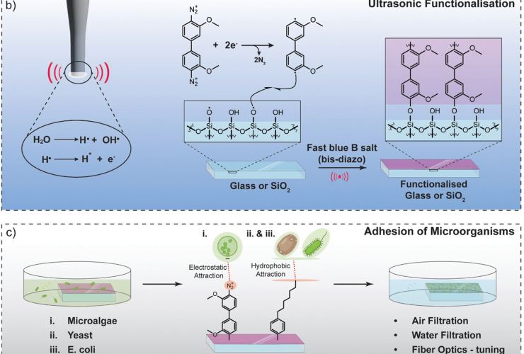 Illustrazione semplificata del funzionamento degli ultrasuoni (Tiexin Li et al., 2025 FOTO) - www.systemscue.it