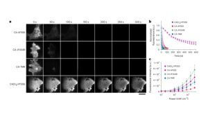 Super-fotostabilità di PF555 (www.researchgate.net foto)